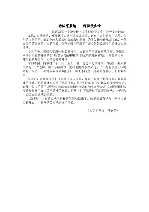 茶乡实践活动报道(五年级)
