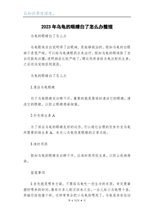 2023年乌龟的眼睛白了怎么办整理