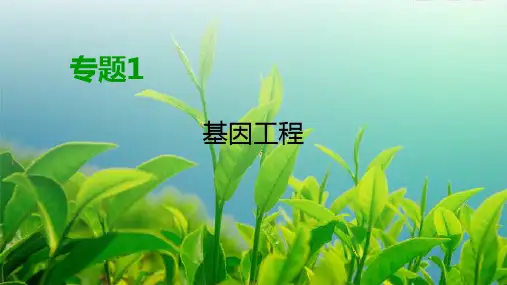 人教版 选修3 基因工程的应用 课件 (69张)