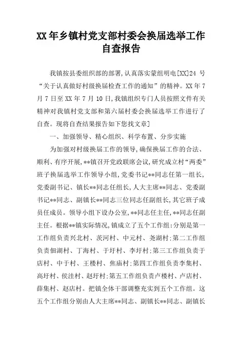 XX年乡镇村党支部村委会换届选举工作自查报告