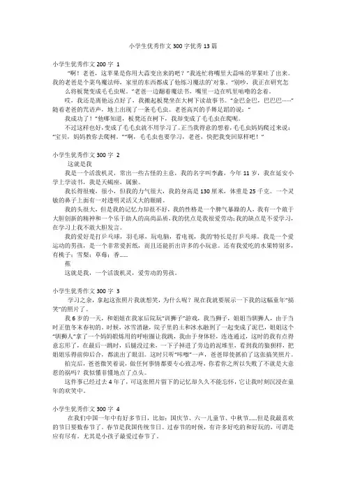 小学生优秀作文300字优秀13篇
