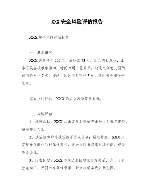 XXX安全风险评估报告