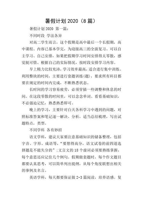 暑假计划2020(8篇)