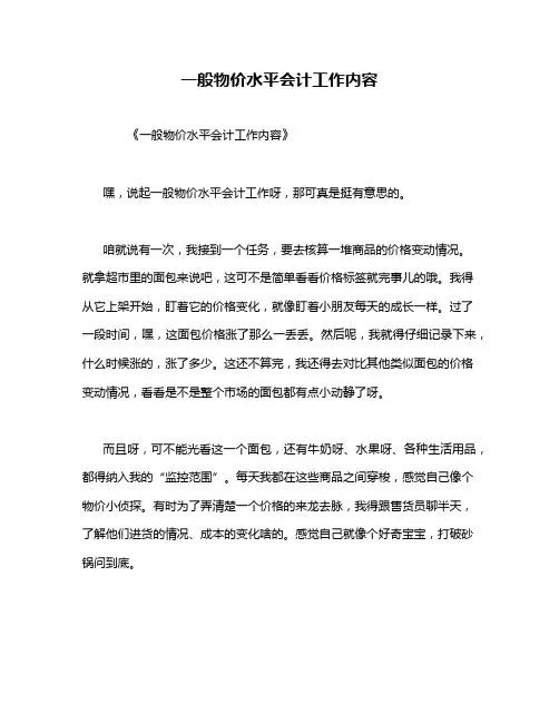 一般物价水平会计工作内容
