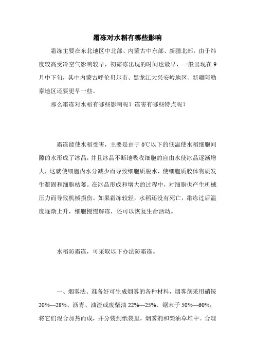 霜冻对水稻有哪些影响