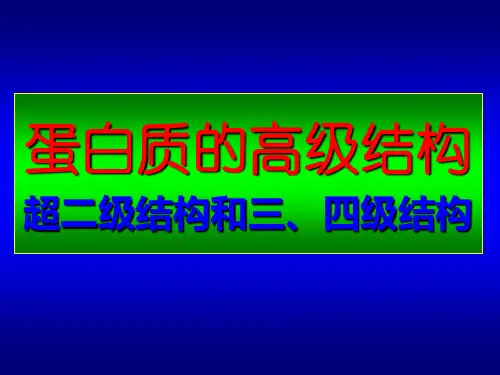 生物化学课件6-蛋白质化学4-高级结构