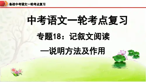 中考语文一轮复习之说明文阅读之说明方法及作用专项复习PPT课件