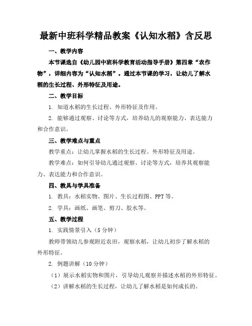 最新中班科学精品教案《认知水稻》含反思