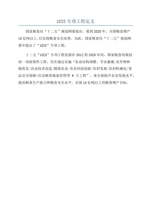 1025专项工程定义