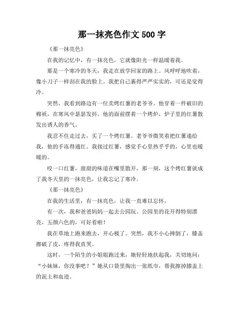 那一抹亮色作文500字