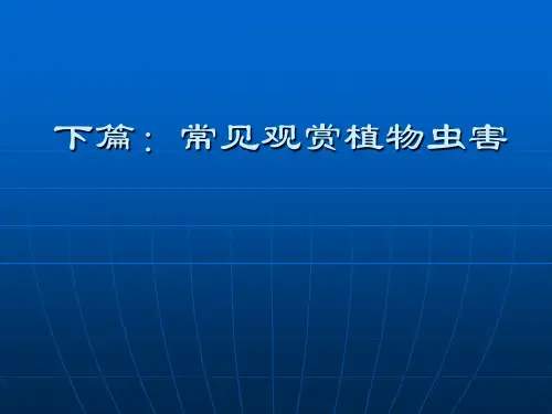 观赏植物虫害防治及图鉴.ppt