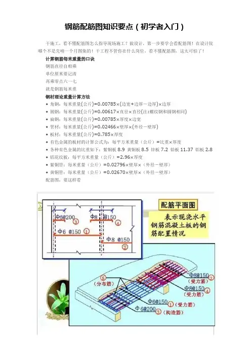 钢筋配筋图知识要点(初学者入门)
