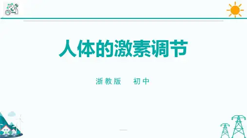 《人体的激素调节》PPT教学课件