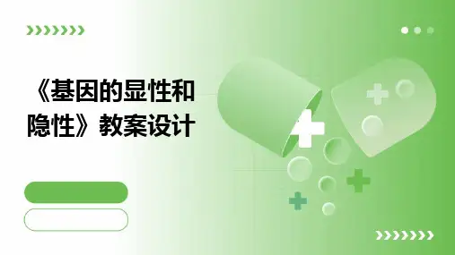2024版《基因的显性和隐性》教案设计