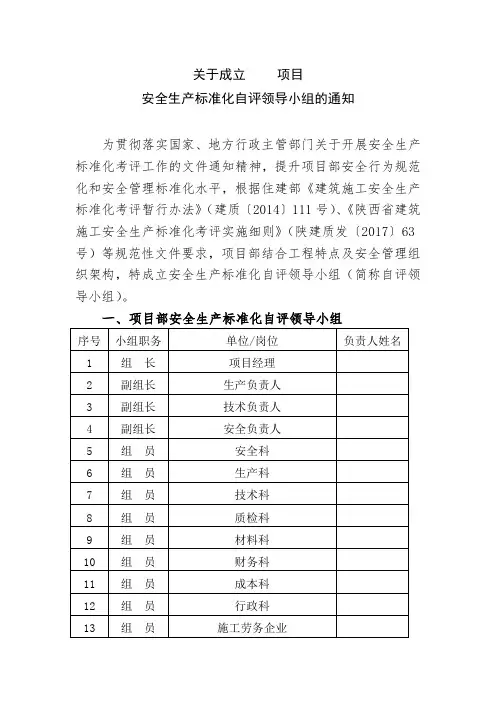 安全生产标准化自评领导小组