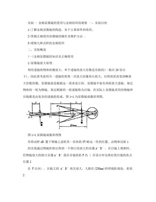 实验一++金相显微镜的使用与金相组织的观察