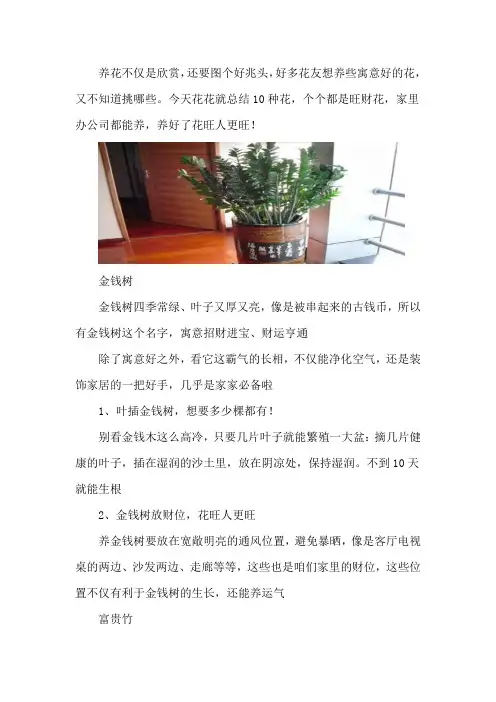 这10种有钱花,越养越有钱,家家必备!