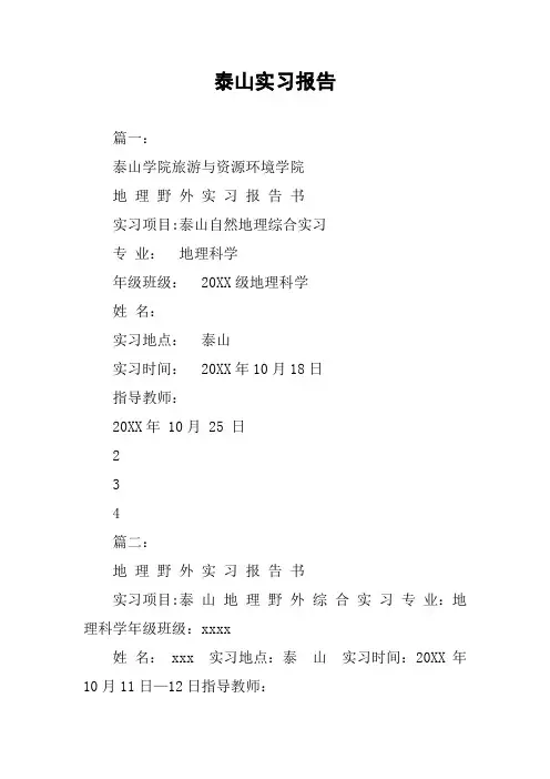 泰山实习报告