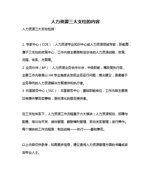 人力资源三大支柱的内容