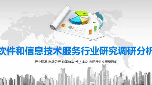 2020软件和信息技术服务行业研究调研分析