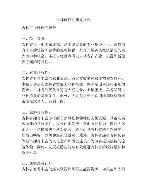 吉林可行性研究报告