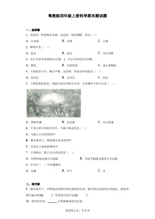 粤教版四年级上册科学期末测试题