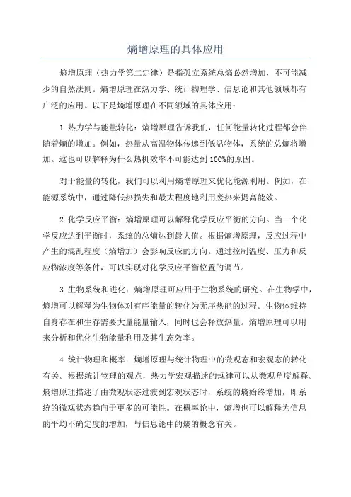 熵增原理的具体应用