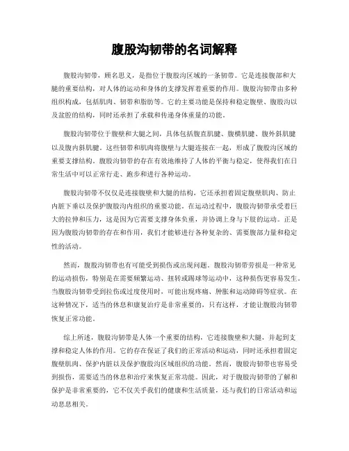 腹股沟韧带的名词解释