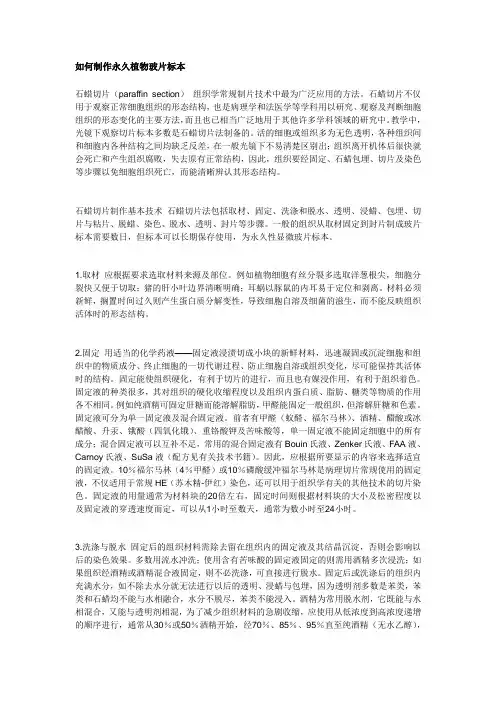 如何制作永久植物玻片标本