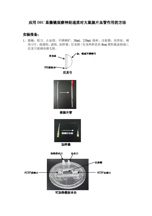 激光多普勒用于脑血流的测量
