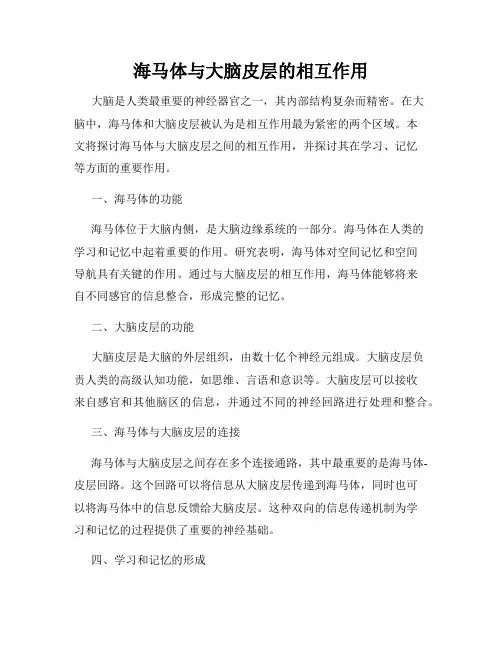 海马体与大脑皮层的相互作用