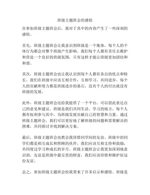班级主题班会的感悟