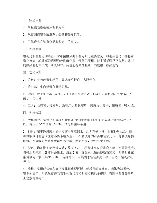 鞭毛染色实验报告