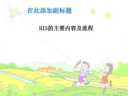 HIS的主要内容及流程