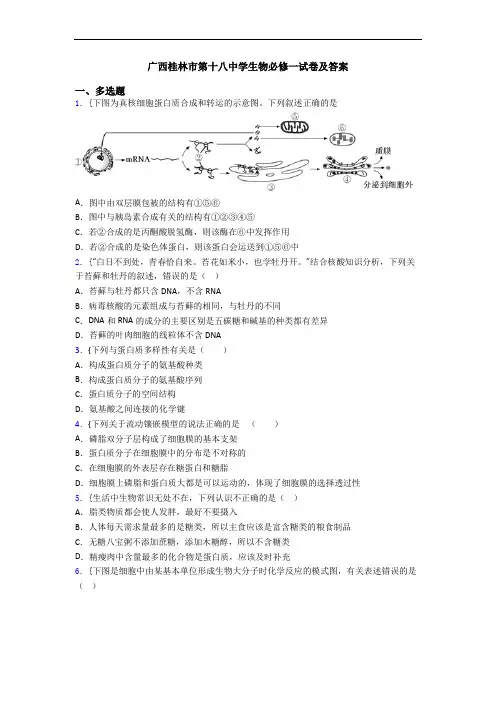广西桂林市第十八中学生物必修一试卷及答案