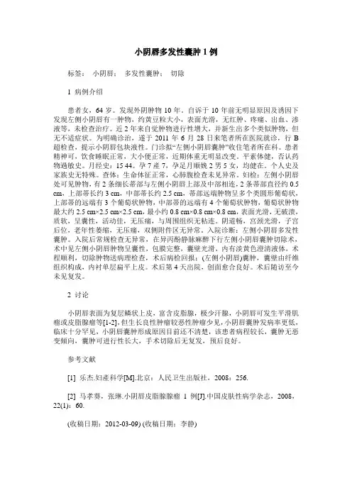 小阴唇多发性囊肿1例