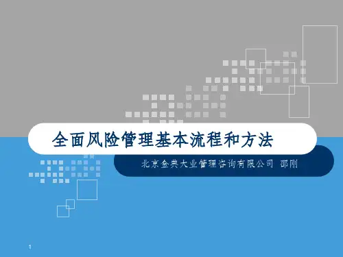 风险管理基本流程与方法ppt课件