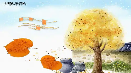 幼儿园科学领域活动课件叶子