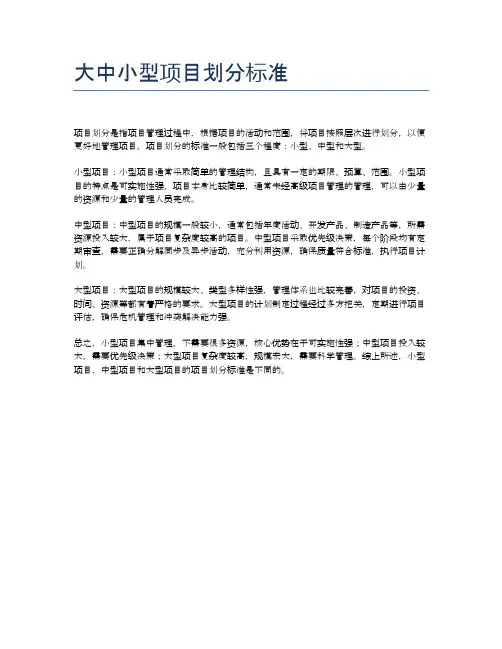大中小型项目划分标准