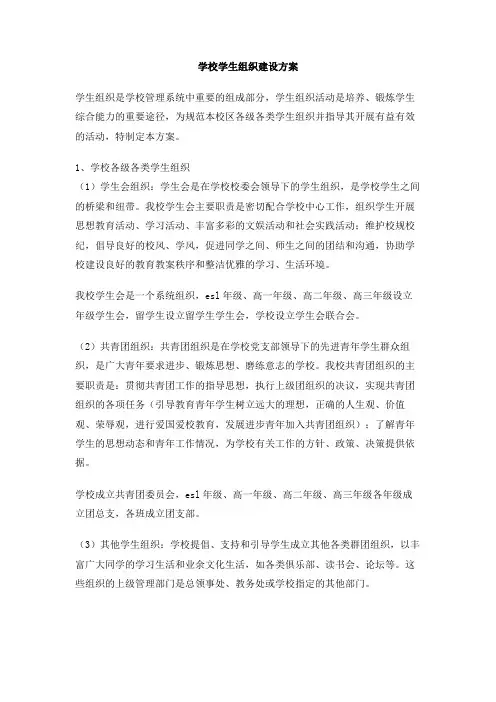 学校学生组织建设方案