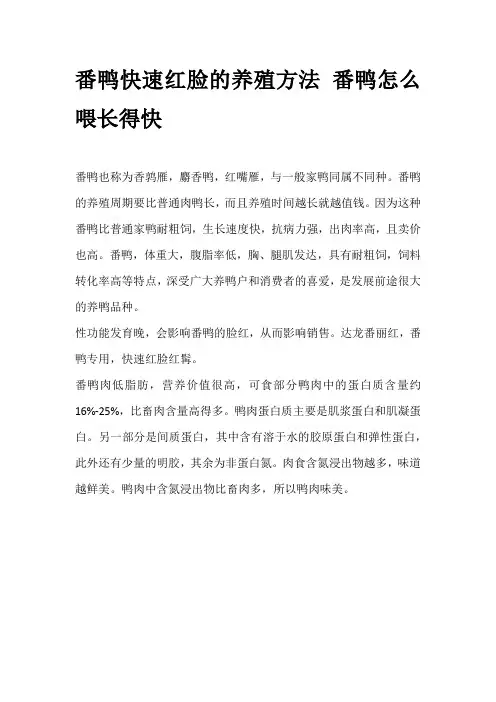 番鸭快速红脸的养殖方法 番鸭怎么喂长得快