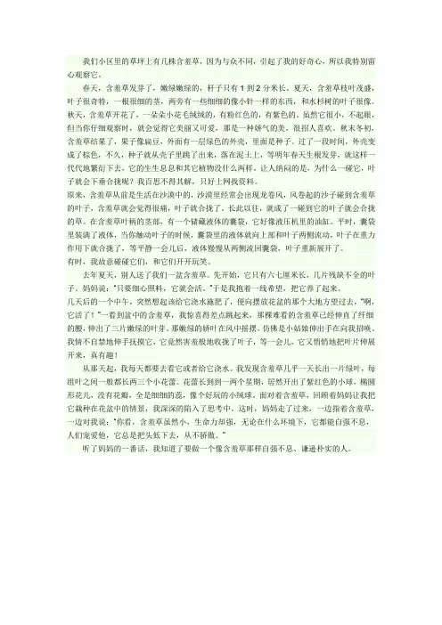 含羞草为什么一碰叶子就合起来
