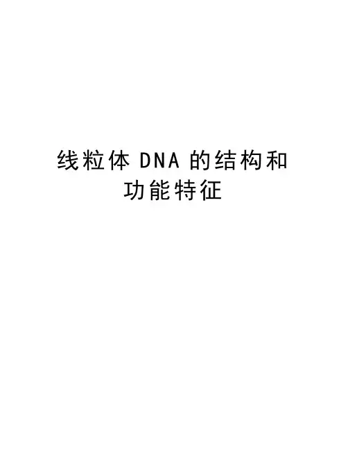 线粒体DNA的结构和功能特征教学提纲
