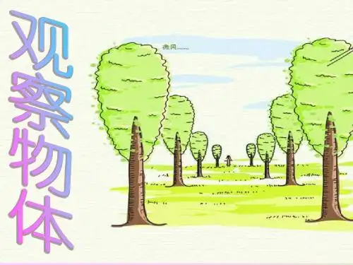 三年级数学观察物体1