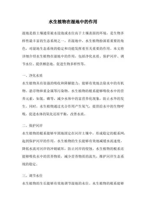 水生植物在湿地中的作用