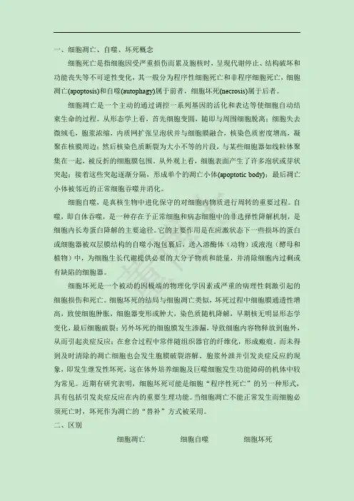 细胞凋亡、自噬、坏死