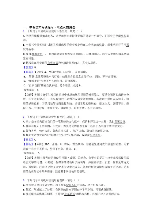 【精品】部编人教版中考 语文成语及惯用语练习题及解析