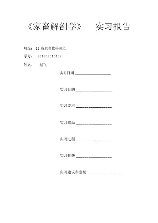 解剖牛实验报告