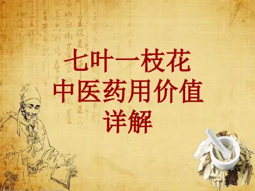中药学_七叶一枝花_药材详解课件模板_性味
