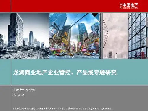 龙湖商业地产企业管控产品线专题